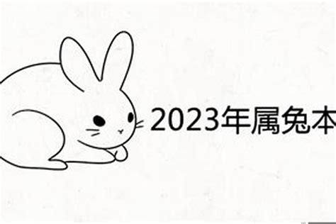 2023兔寶寶農曆幾月生好|2023年属兔几月出生最好 属兔男孩出生的四个最佳时辰